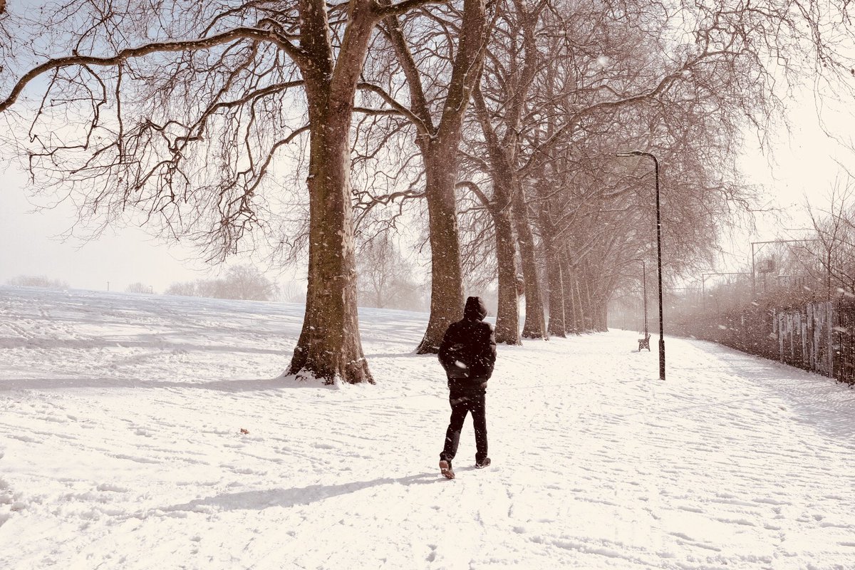 mirtetti's tweet image. ❄️