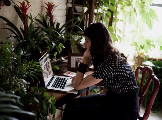 Gina_Curcio's tweet photo. “Having a plant in your office increases productivity by 15%”

Me: https://t.co/dQYeaHp9Ky