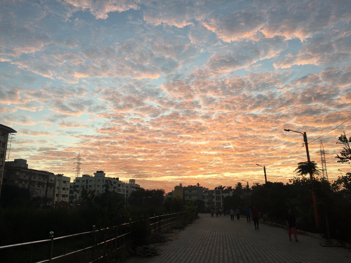 mohandas86's tweet image. #Beautifulmorning #mclick #iphone