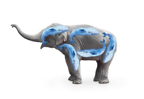 CorrectTakeGuy's tweet photo. FACT: the elephant is the largest land mammal in North America, larger than five blue whales https://t.co/9ZxVn59jn6