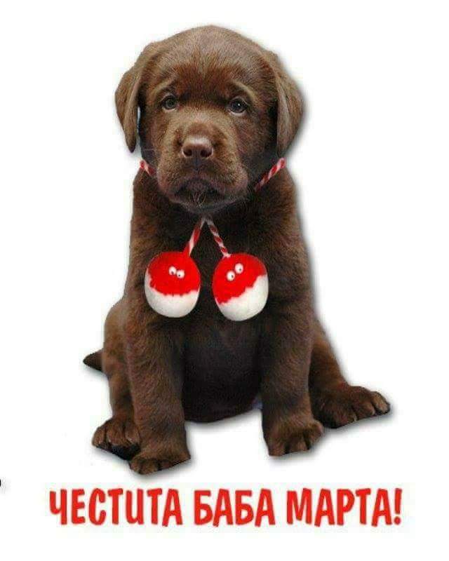 MuMuToOo's tweet image. Здраве и усмивки за всички =)