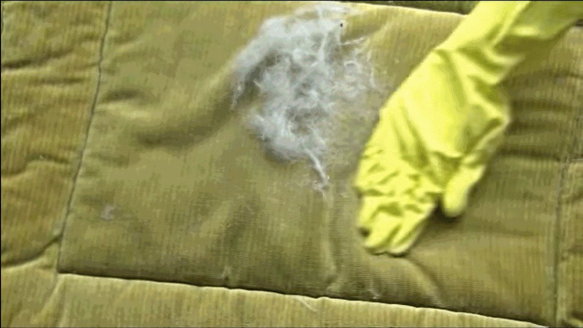TheMaids's tweet photo. Love the #pet, hate the pet hair? Here’s how to show your #sofa some glove. https://t.co/4pa0a86Tor