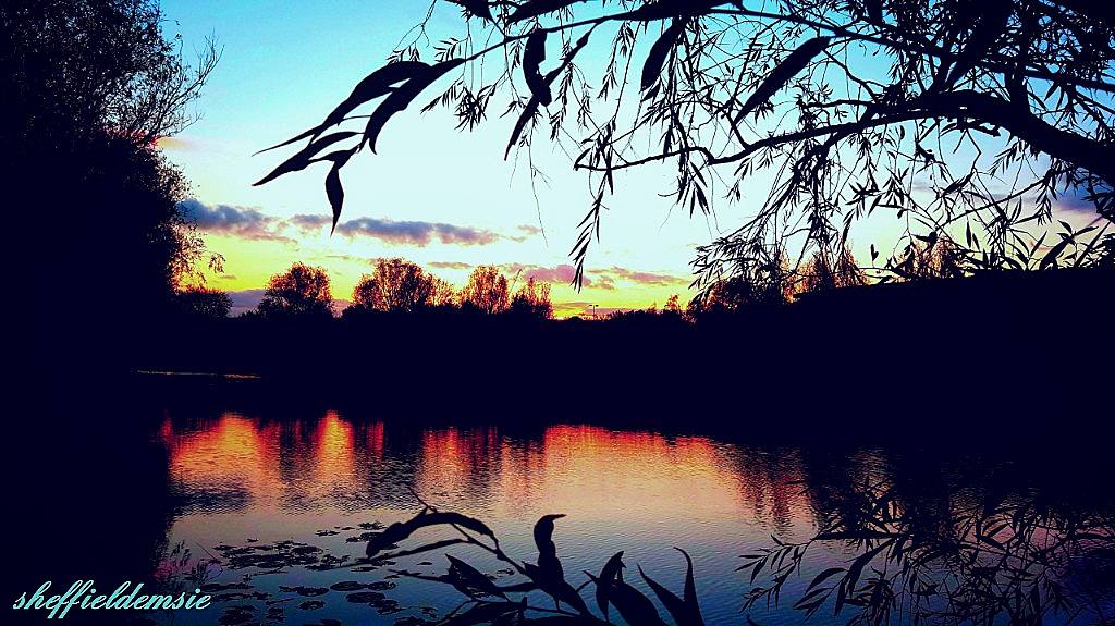 Sheffieldemsie's tweet photo. #sunset #cambridgeshire #englishcountryside #england #cambridge #sunsets #sunsetlovers #skyporn #reflections #naturesbeauty https://t.co/kuxK2x0aYs