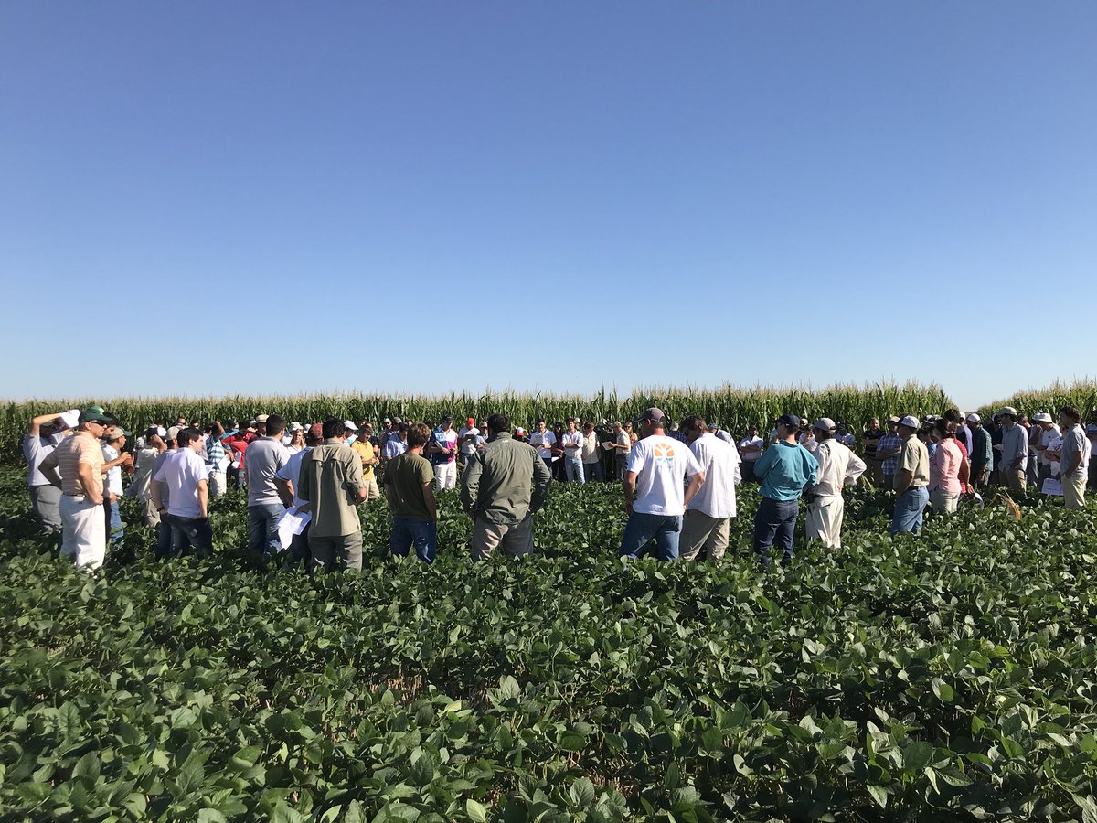 gedeeme's tweet photo. Excelente reunión sobre manejo de Amaranthus en CREA Centro! Múltiples alternativas químicas y no químicas, mucho para aprender #proyectomalezas @crea_arg @fgfrugoni @mariapaolini_ @joacbello @ColaEze @ariel_angeli @cpenafort @federicobert https://t.co/yfh5VOuuRt