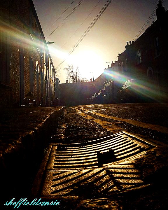 Sheffieldemsie's tweet photo. #sunset #cambridgeshire #englishcountryside #england #cambridge #city #cambridgecity #cambridgeuk #depth #gutter #inthegutter #brightsun #cambridgestreets #streetlife #victorianarchitecture https://t.co/qg115O03Tv