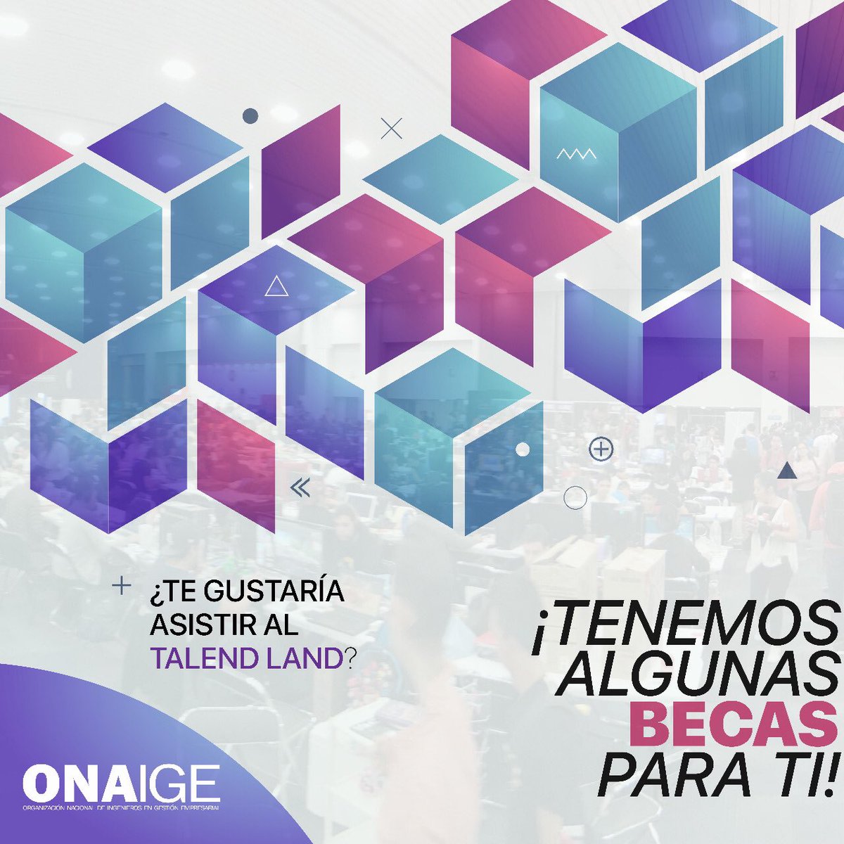 ONAIGE1's tweet photo. ¿Eres egresado IGE y quieres asistir al Talent Land 2018? 

¡ONAIGE te invita! 

Talent Land es el evento de innovación y tecnología más grande de México. Durante 5 días, sus 14 escenarios temáticos expondrán 1,500 horas de contenido para más de 30,000 talentos de todo el país. https://t.co/zqrk33J6kW