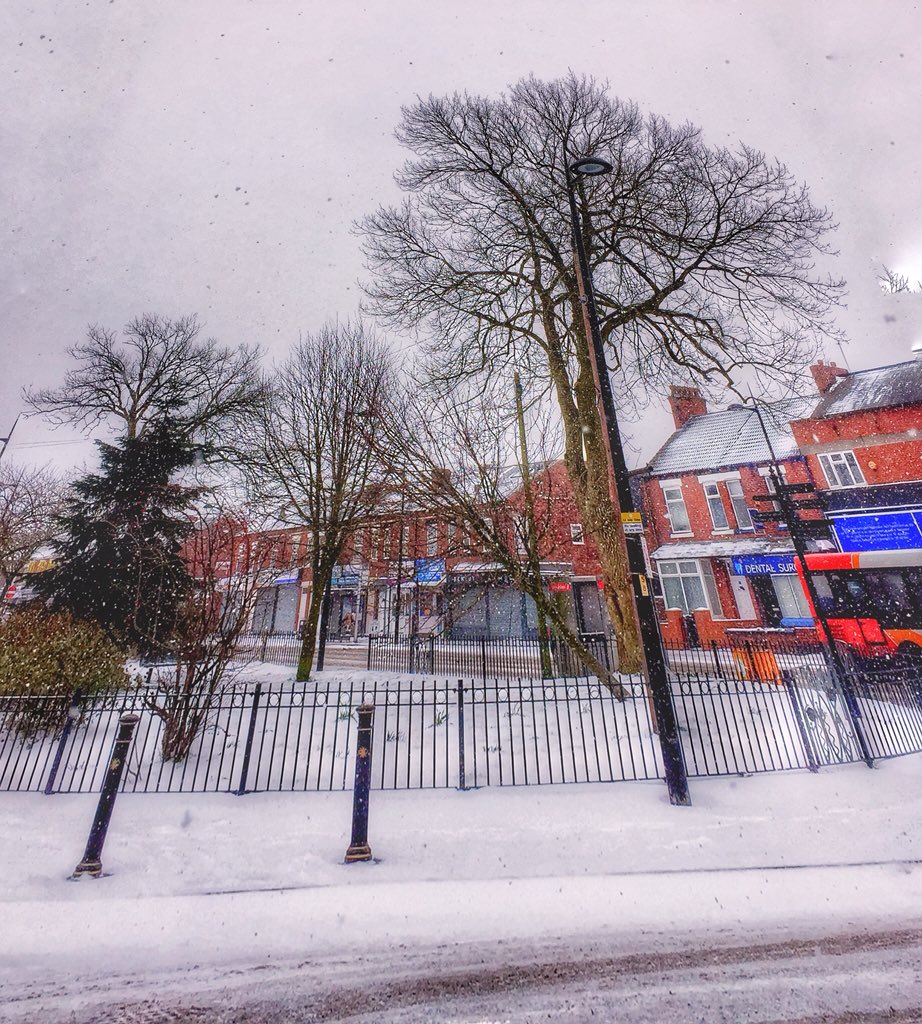 bd_visuals's tweet image. #snowday2018