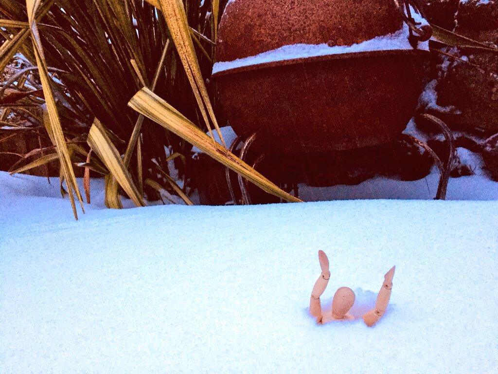 inksplott's tweet photo. Snow’s getting higher. Poor Dewi’s stuck in a drift! Don’t panic - I’ll dig him out with a slice of bread (of heaven). Happy #StDavidsDay #Splottlanders! #snowday #splott! #cardiff #SNOWMAGGEDON #BeastFromTheEast https://t.co/6Poxf0puNn