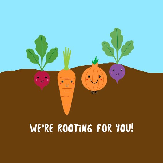 NishealW's tweet photo. Top your day off with some delicious potato soup. I'm rooting for you to make the best potato/carrot soup ever! https://t.co/0XzAoBOI5W
#rootsoup #easyfeasts https://t.co/5XBZaE5BO4