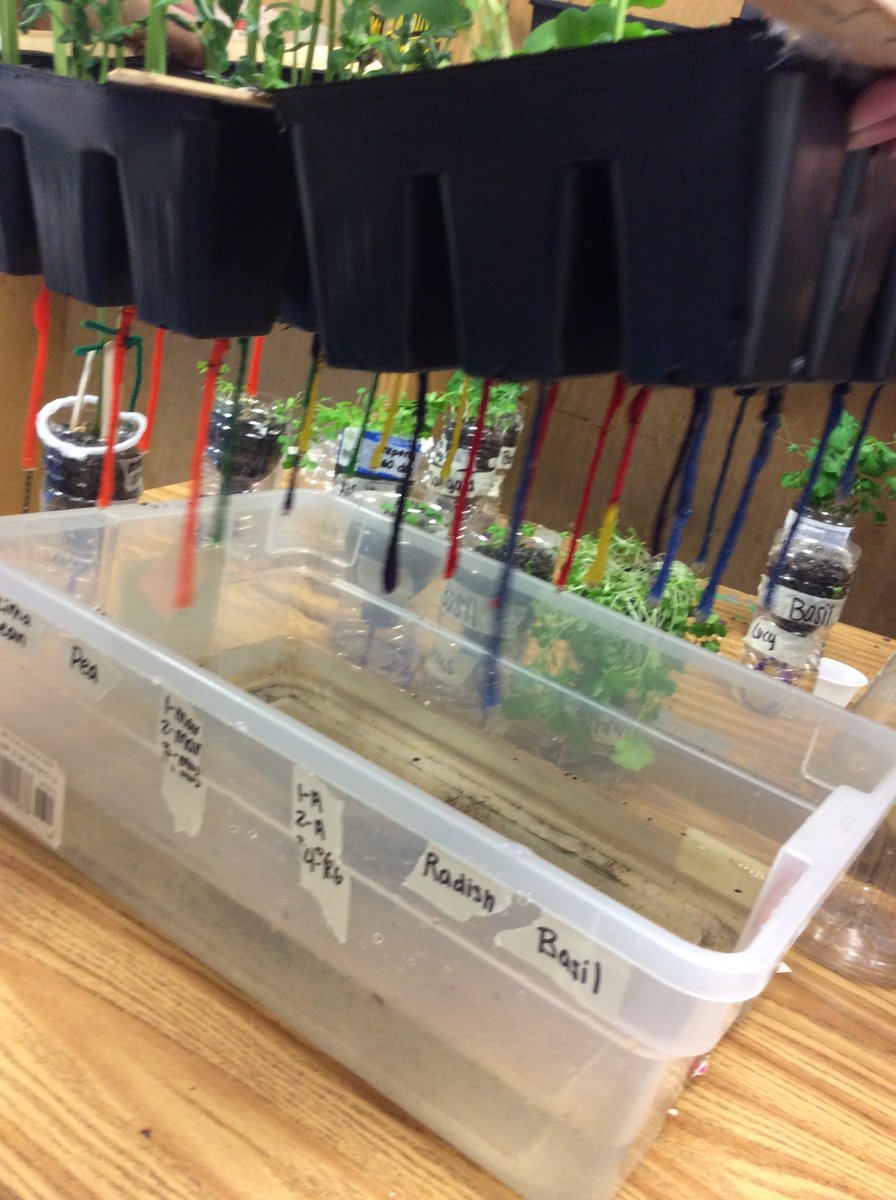 McMakerspaceLGM's tweet photo. Some photos from #makerspace this week @LGMS_HCS. #cultivatingwellness #houseofdesign https://t.co/VAilYaWSoK
