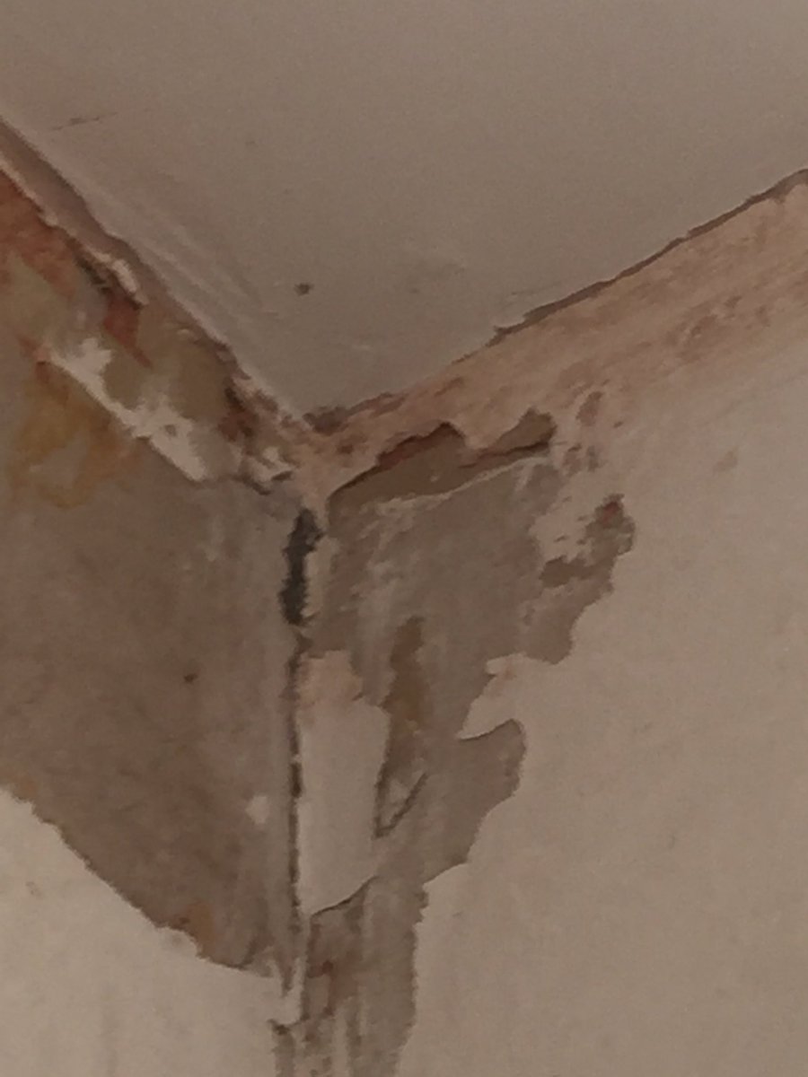 fayeston's tweet photo. @KarbonHomes a year on and living in this state of disrepair! Which you apparently deem ok.  Windows not even properly fixed in place and plaster and paint peeling from the crumbling walls.  A year on and still unable to decorate and make a home. Next stop-legal action https://t.co/N28kMBuxWI
