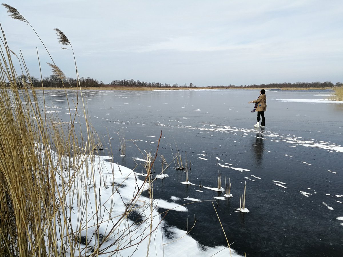 startinchina's tweet photo. #schaatsen natuurijs #ankeveen grote plassen liggen open , je kan klein stukje heen en weer https://t.co/v6Nf0CROky