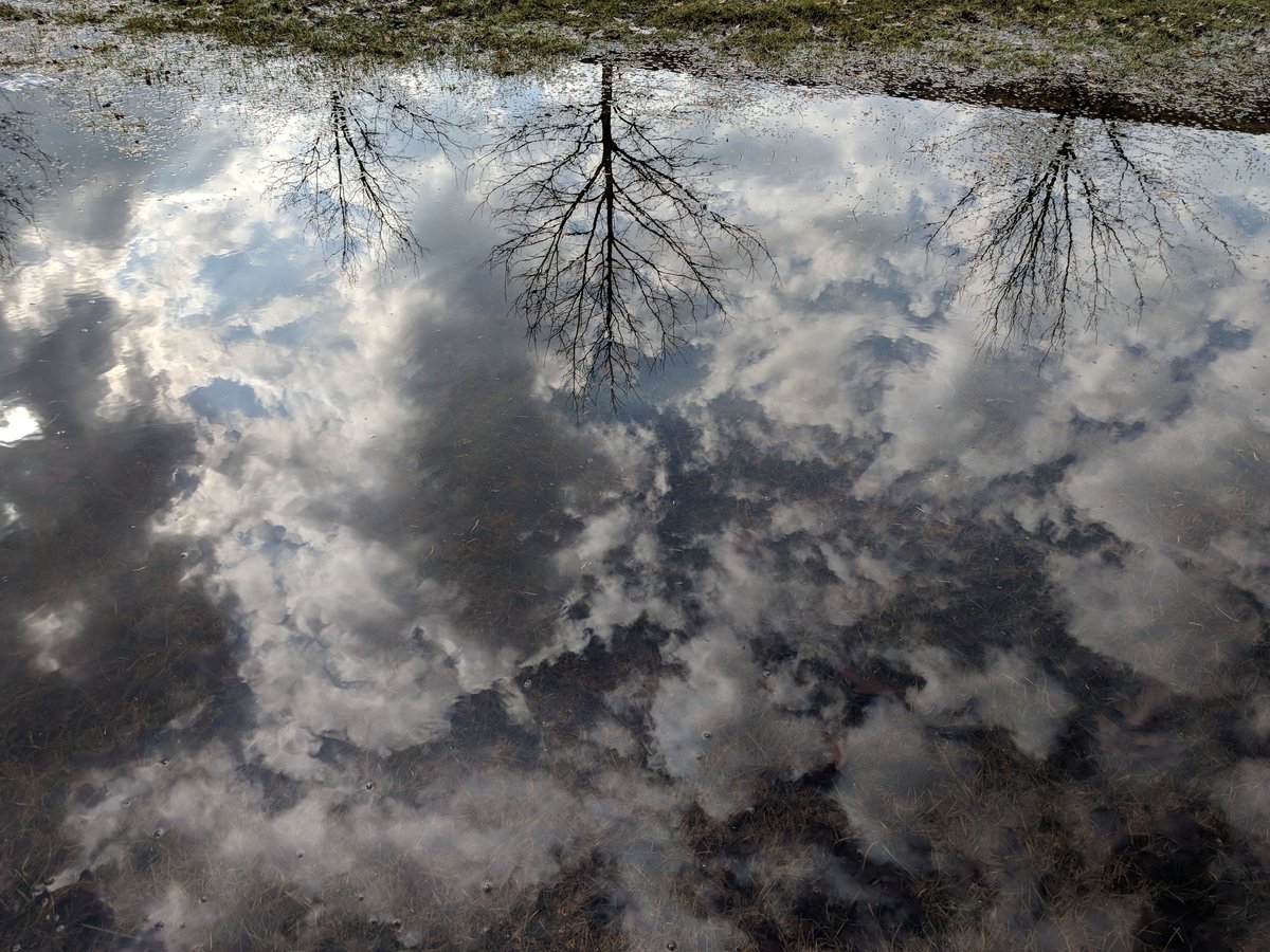 ElectriKEL's tweet photo. @WestOttawaHS @KJerniganWO Here are two more that I thought were amazingly surreal. https://t.co/t75McGPUTy