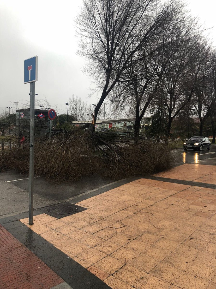 Nuevas_Getafe's tweet photo. ⚠️⚠️ Múltiples caídas de árboles en #Getafe. Esperemos que no haya daños personales y los daños materiales sean los mínimos ante la desidia del gobierno municipal en el cuidado y atención de los árboles para evitar estas caídas. https://t.co/CpAhgF9Ece