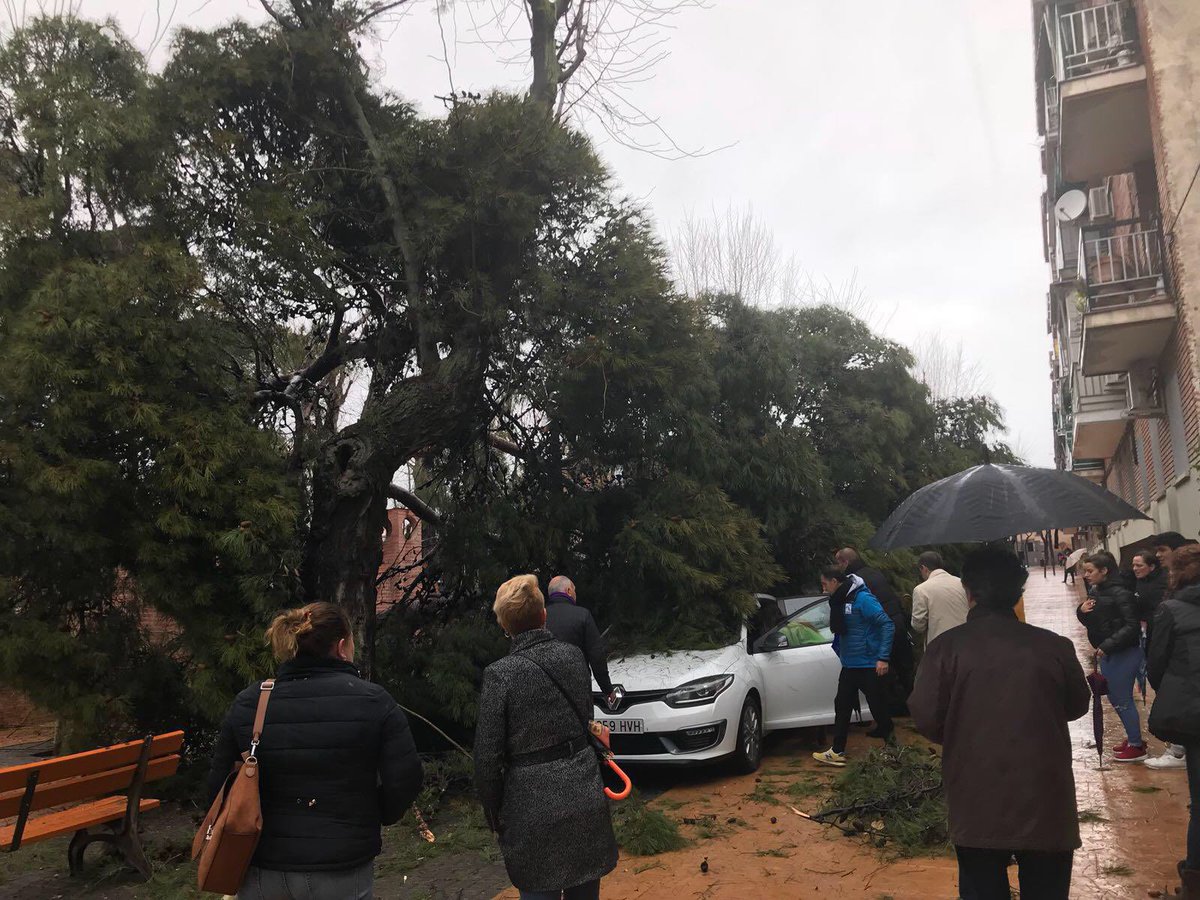 Nuevas_Getafe's tweet photo. ⚠️⚠️ Múltiples caídas de árboles en #Getafe. Esperemos que no haya daños personales y los daños materiales sean los mínimos ante la desidia del gobierno municipal en el cuidado y atención de los árboles para evitar estas caídas. https://t.co/CpAhgF9Ece