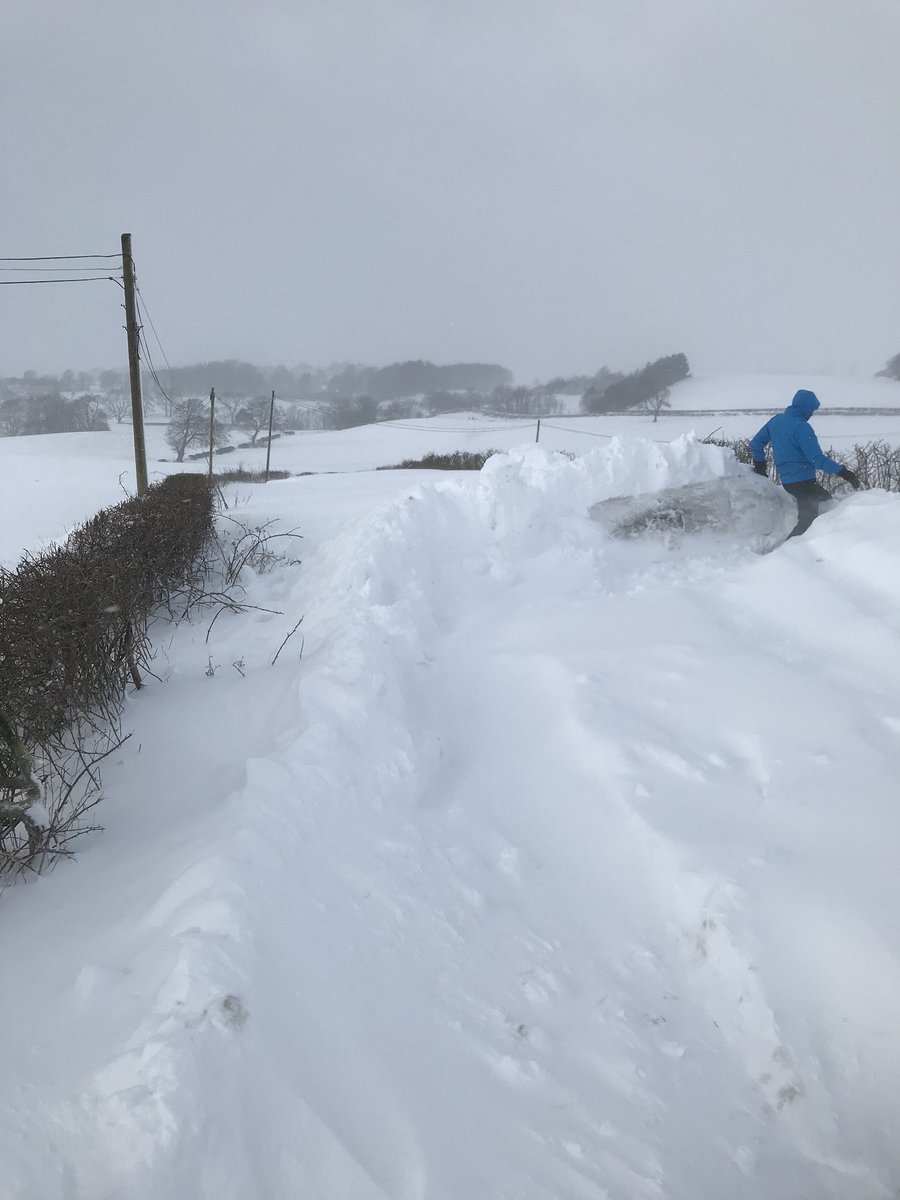JoanneCaldwell1's tweet image. @EDCouncil l guess @BaldernockPS will be closed tomorrow #NoWayIn #NoWayOut #snowday2018 #Schoolsout