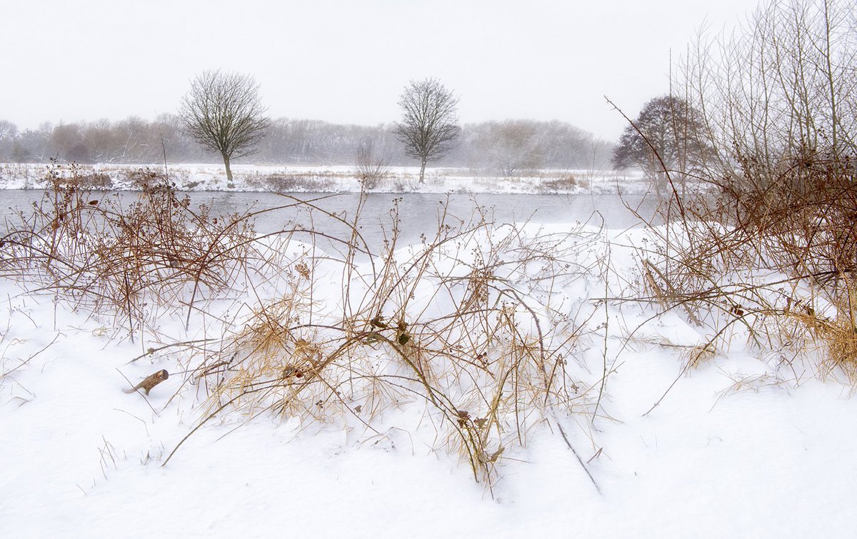 TraceyWhitefoot's tweet image. Snow Drifts.....
Heavy snow on the bank of the River Trent at Colwick today. 
#colwickpark #NG4 #lovenotts #uksnow #BeastFromTheEast