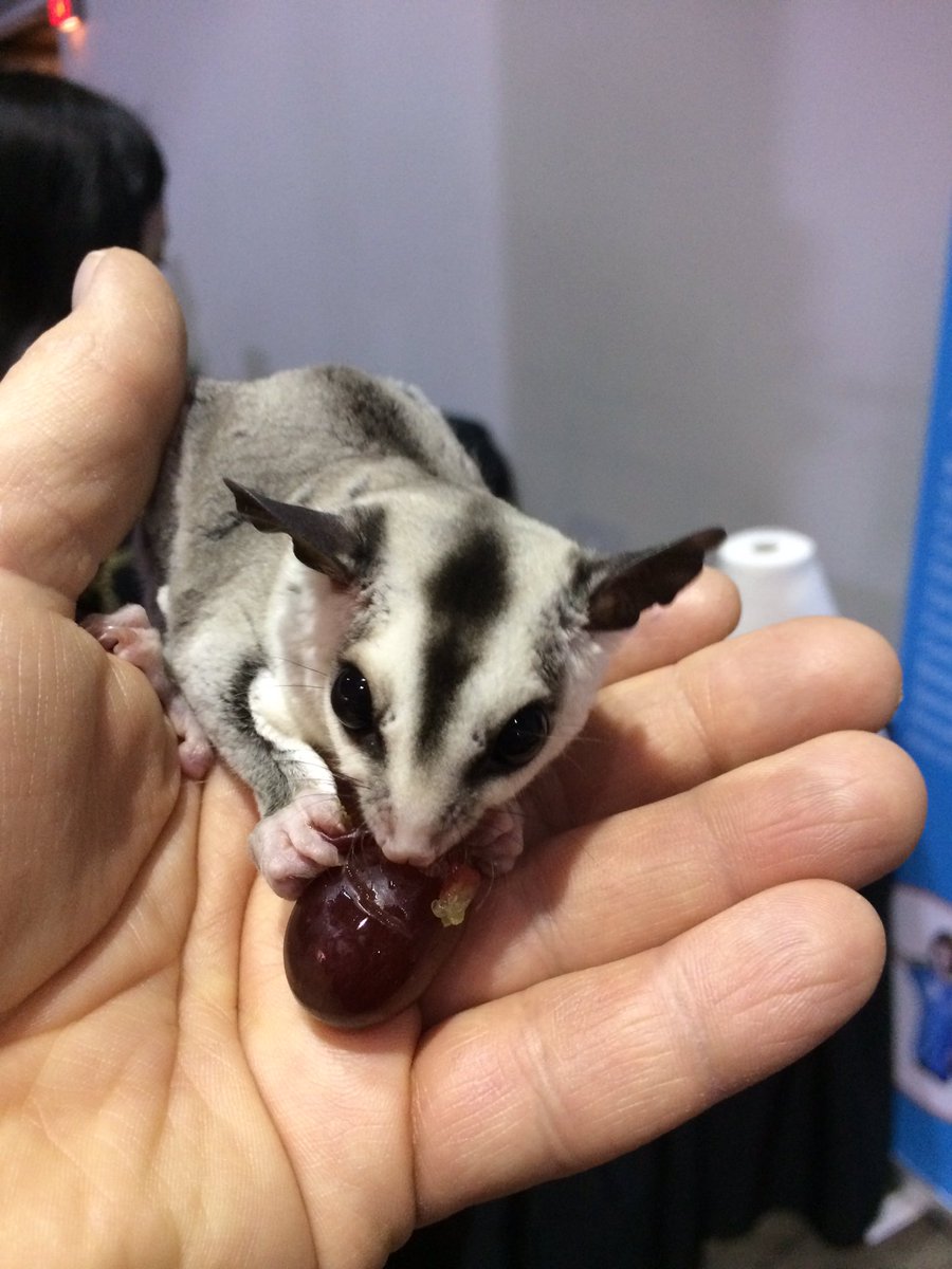 Look who was at the FEO conference!
#FEO2018