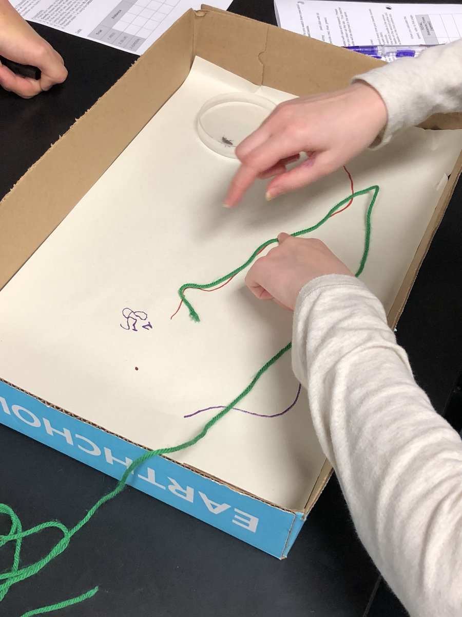 HoeppScience's tweet photo. Speed isn’t always a straight line! 6th graders exploring the many ways speed can be measured! #7Lspartanpride #scienceisawesome https://t.co/4aMVpRCTAy
