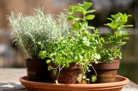 Micro_Farm tweet picture