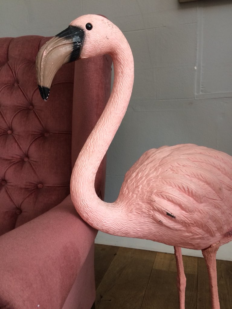 thewedcommunity's tweet photo. I had the most wonderful time at this year’s @wedmeetupuk at the stunning @DeerParkHotel @HazelAParsons and @JennyWrenEvents created such a fabulous event. Here’s a peek of my little space where I chatted with amazing wedding suppliers #SWWedmeetUp Thank you @mdDeerParkHotel https://t.co/1mi228NFwp
