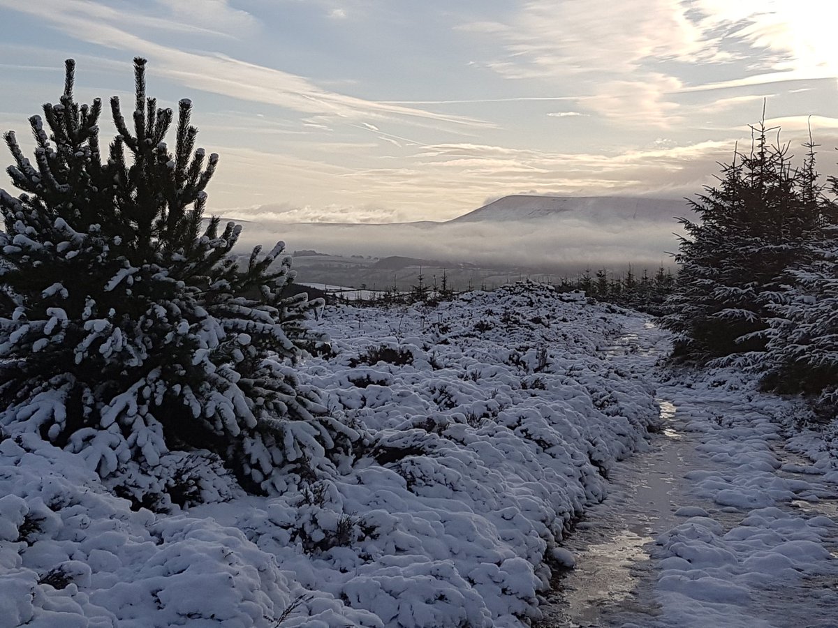 forestofbowland's tweet image. We're recruiting for five new jobs to work on the Pendle Hill Landscape Partnership, our exciting new @heritagelottery funded programme. Visit forestofbowland.com/Opportunities for details  #ThanksToYou