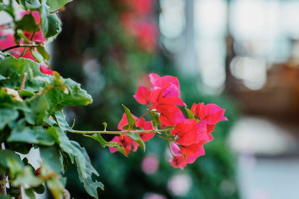 It's beginning to feel like spring in New York City--what's your #ScentoftheDay?