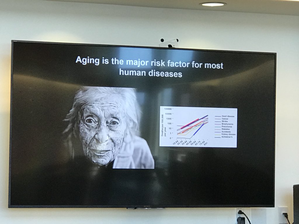Aging is major risk factor for most #humandisease #epigenetic models of #aging jcbelmonte #FOGM18