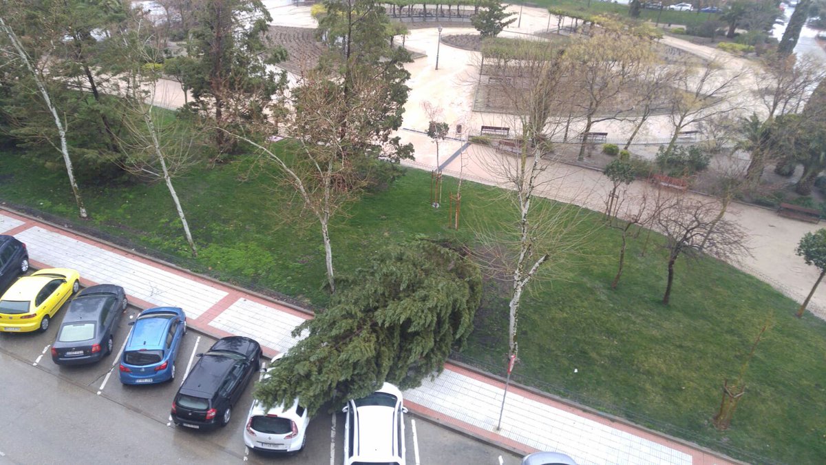 CsFuenlabrada's tweet photo. 📸 Pediríamos un control de la salud de nuestros árboles pero desde del @PSOEfuenlabrada nos dirán, como en el #Pleno de hoy, que "por 4 casos aislados ¿Para qué?" Imaginen que en vez de coches hubieran sido personas..
 PARA ESO. #Fuenlabrada https://t.co/POQAzvlBwD