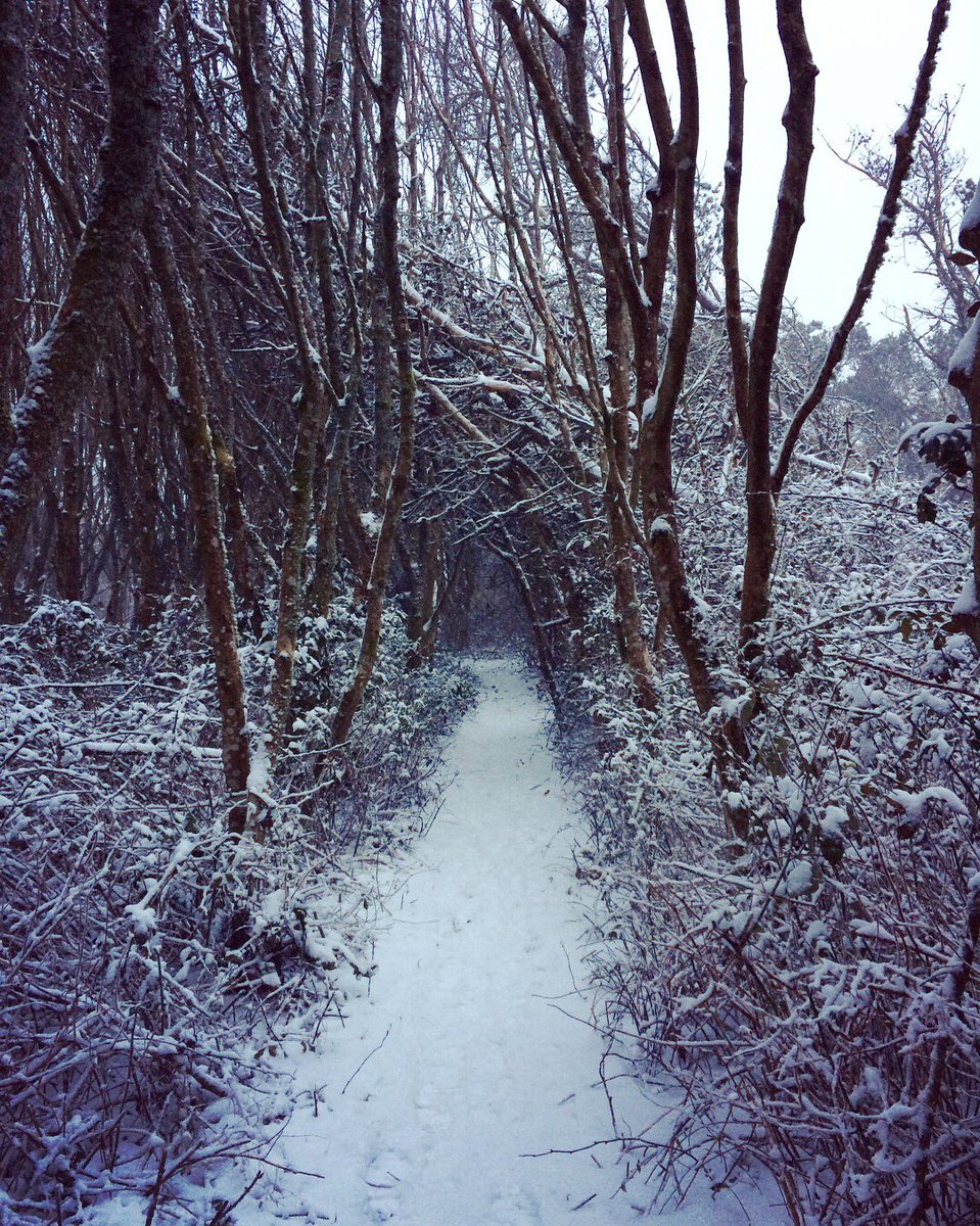 FervorBrand's tweet photo. The snow finally came to us here in #StEval, Cornwall! ❄️👌#NorthCornwall #Cornwall #SnowDay #CornishSnow https://t.co/TbAnQv2FR0