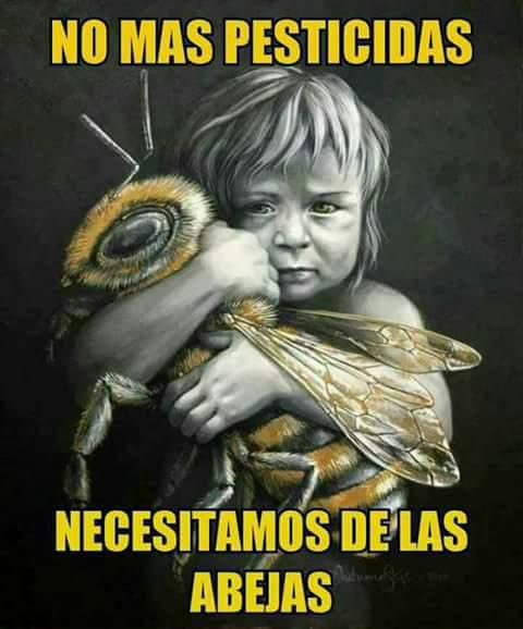 No mas Punto apicola se une a la campaña  de crear conciencia y salvar  a nuestras abejas.🐝