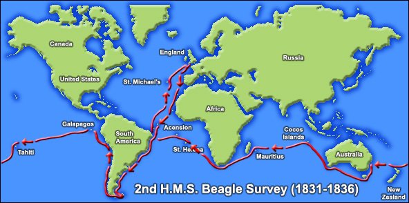 onthebeagle's tweet photo. En el trayecto recolecté muchas especies distintas de plantas y animales, y estudié sus diferencias. Me di cuenta de que algunos existían solo en determinadas regiones y de que muchas especies presentaban características que facilitaban su adaptación a determinados medios. https://t.co/KaFvsidb8a