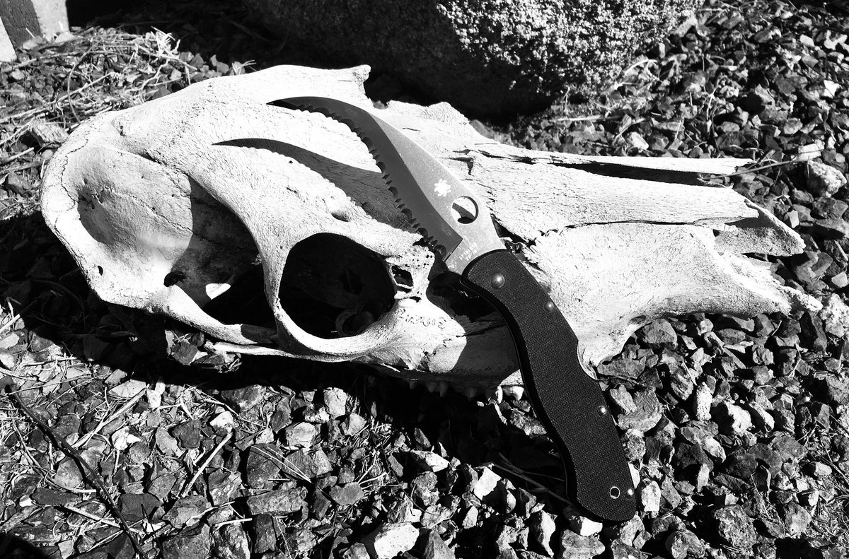 Does this make your #edc feel inferior???  Good, because it should. #spydercocivilian #behappy knifecommunity #whatdoyoucarry #knifelove #spyderco #knifelife #housewifelife #dowhatyoulove #selfdefense #badass