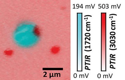 AnasysInst's tweet photo. Chemical Composition &amp; Conductance

@usnistgov researchers measure thermal conductivity simultaneously with nanoscale IR spectroscopy using photothermal IR spectroscopy #PTIR, tracking nanoscale dynamics of polystyrene/PMMA copolymers.

Read more: https://t.co/ePnReG2GGE https://t.co/giYeHVdrdx