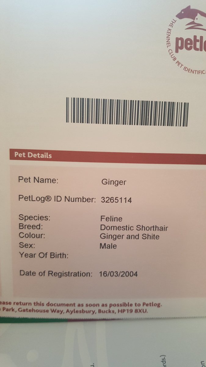 algreen433's tweet photo. Still find the description of my cat's colour funny after all those years 😂😂🙈 #typo https://t.co/39mysgz92R