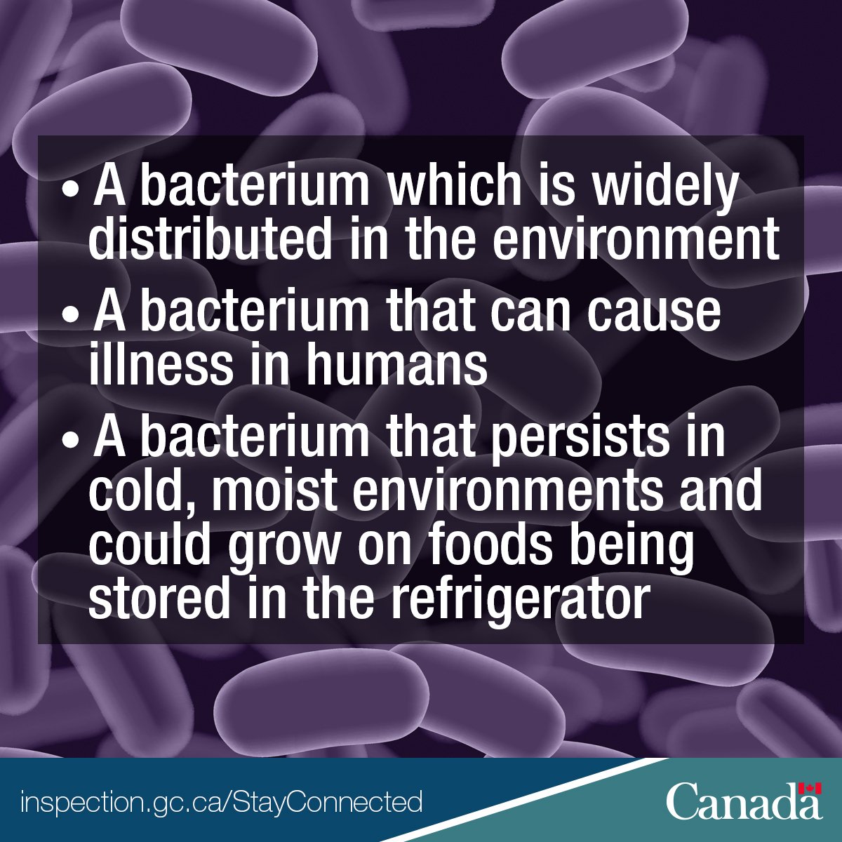 InspectionCan's tweet image. What is Listeria monocytogenes? #CFIABulletin #OpenGovCan ow.ly/PdOp30iDX6l