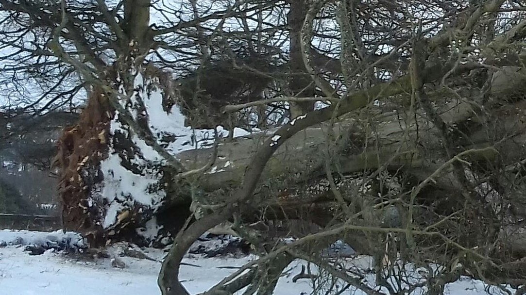 Head Gardener tweet media