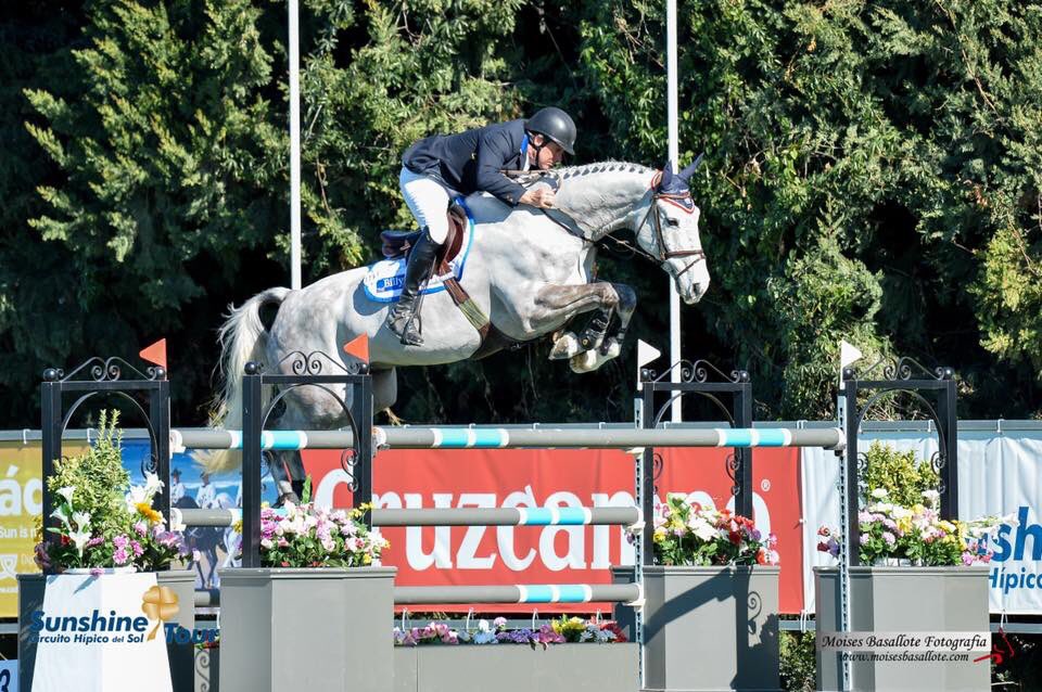 The Billy Stud (@thebillystud) on Twitter photo Billy McCain by Cevin Z jumping clear in the Grand Prix on week 1 <a href="/Sunshinecadiz/">Andalucía Sunshine Tour</a> #showjumpers <a href="/KHWboots/">Kentucky Horsewear</a> <a href="/CharlesOwenHats/">Charles Owen</a> <a href="/nafuk/">@nafuk</a> Billy McCain by Cevin Z jumping clear in the Grand Prix on week 1 <a href="/Sunshinecadiz/">Andalucía Sunshine Tour</a> #showjumpers <a href="/KHWboots/">Kentucky Horsewear</a> <a href="/CharlesOwenHats/">Charles Owen</a> <a href="/nafuk/">@nafuk</a>