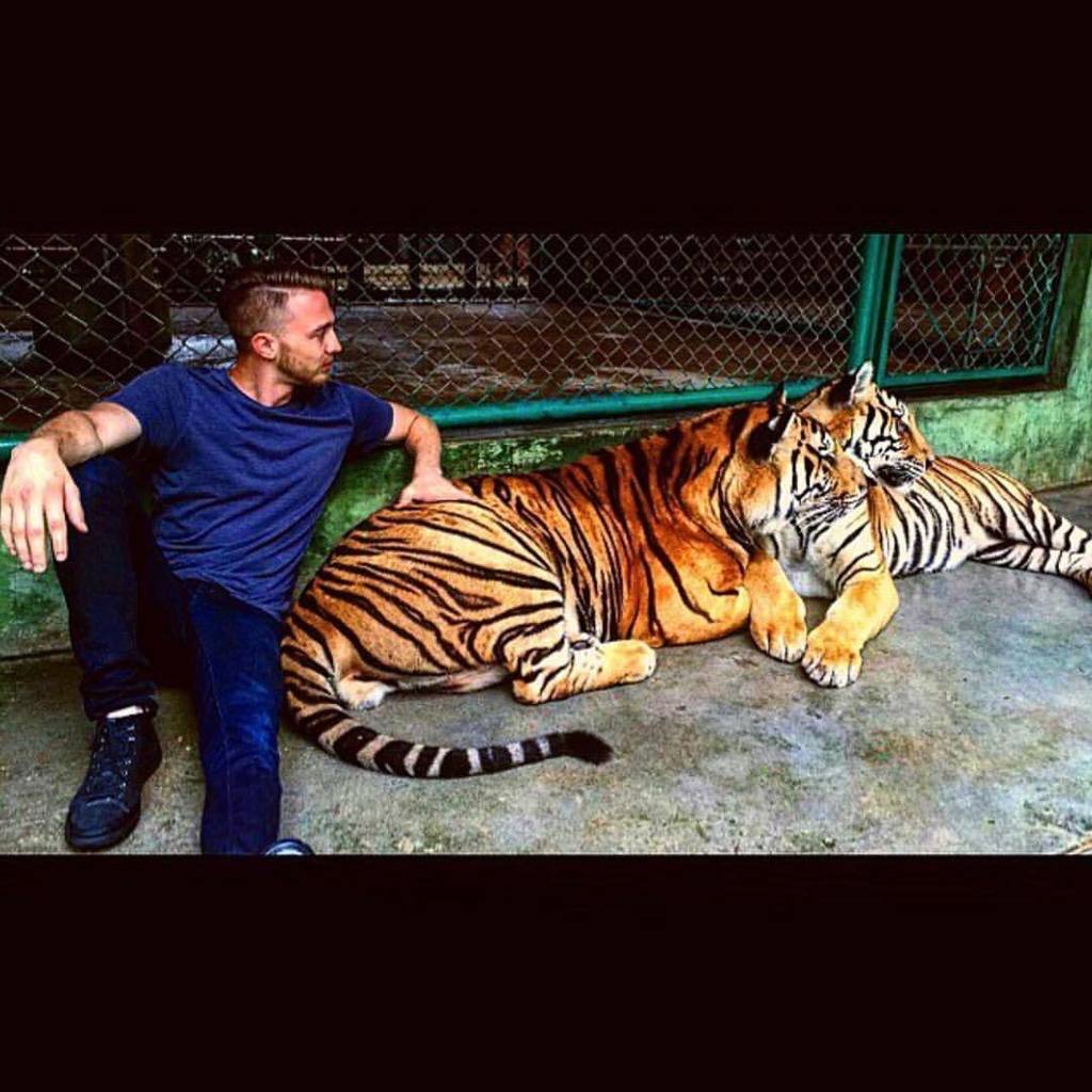 #TBT to the time I almost became lunch in Thailand 🐯 🐅