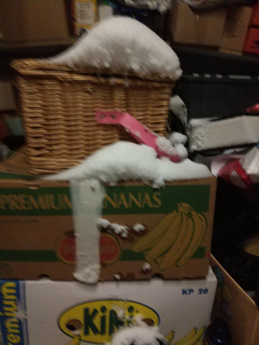 Beckofdoom's tweet photo. @RedrowHomes  is it supposed to snow inside lofts??? https://t.co/kcoQg67Pxh
