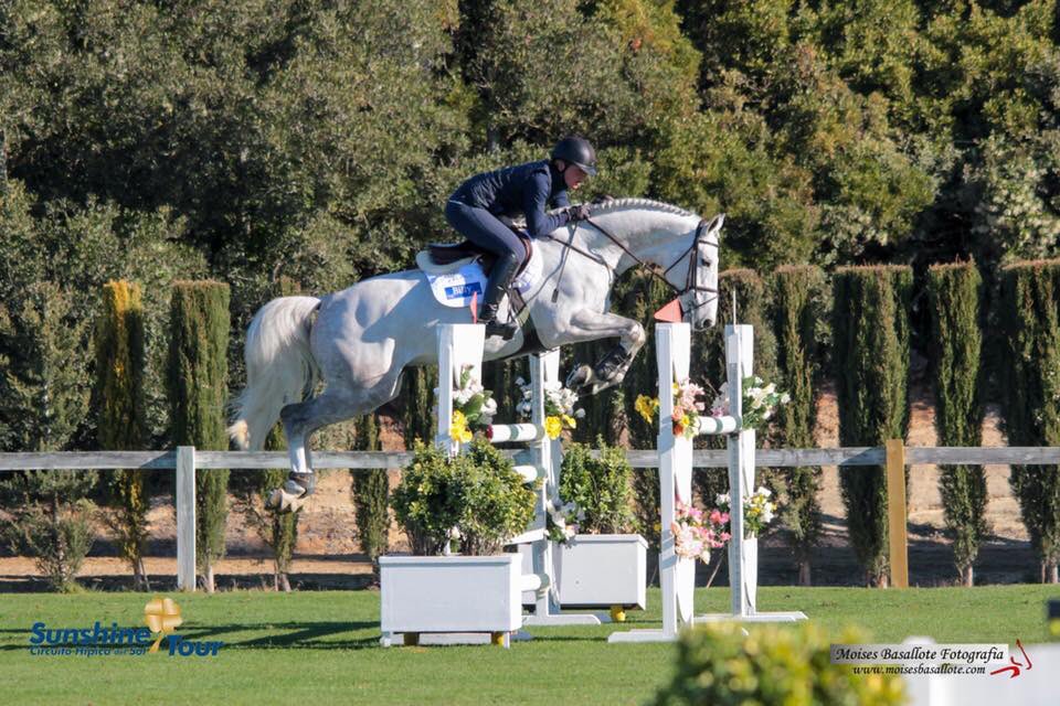 The Billy Stud (@thebillystud) on Twitter photo Our two 7 year old stallions #billydumontois by Cevin Z #billytudor by Cevin Z <a href="/Sunshinecadiz/">Andalucía Sunshine Tour</a> both are available for frozen and chilled semen spring 2018 Our two 7 year old stallions #billydumontois by Cevin Z #billytudor by Cevin Z <a href="/Sunshinecadiz/">Andalucía Sunshine Tour</a> both are available for frozen and chilled semen spring 2018