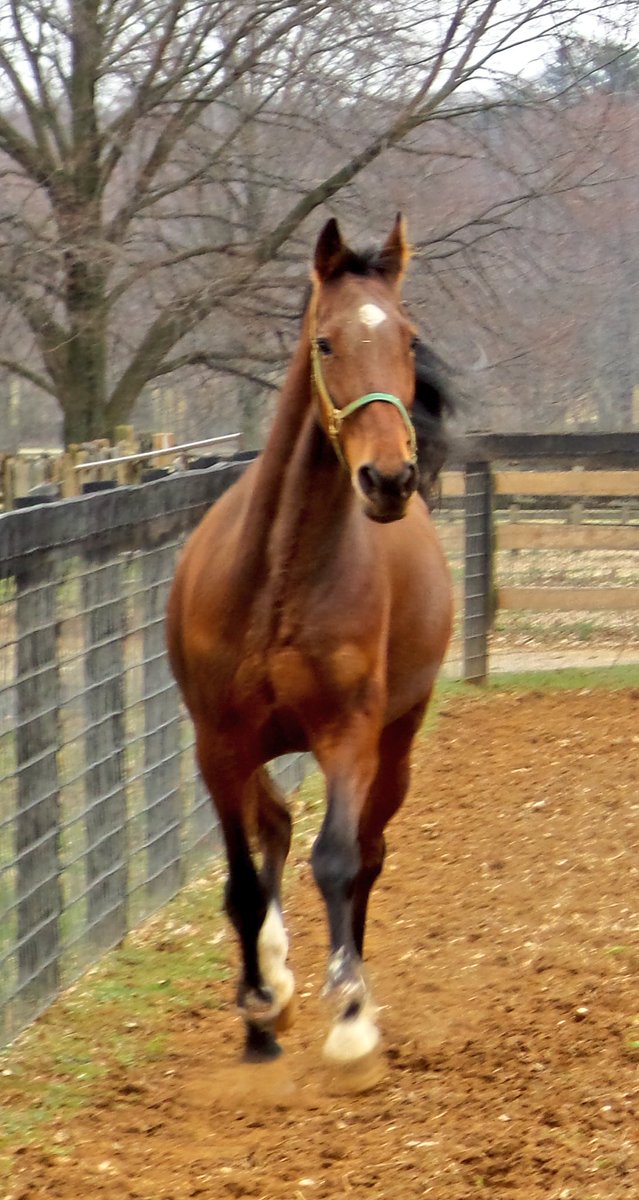 Rick Rothfuss (@R3DVM) | Twitter