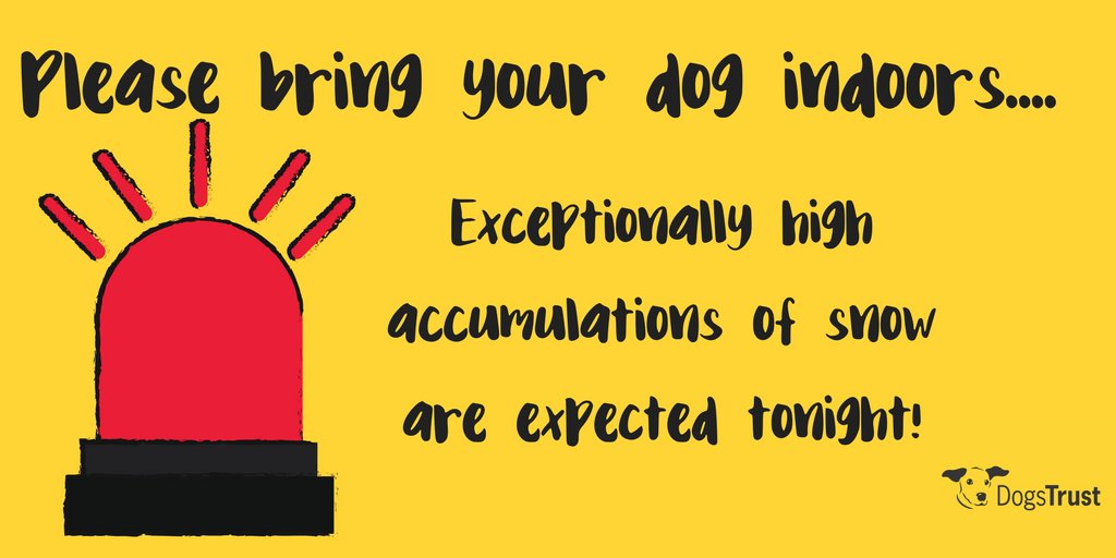 Please, please make sure all dogs are brought indoors tonight!  We can't emphasize enough how dangerous it is for dogs to be left outside in these conditions. #StormEmma #Snowmageddon 🐾
