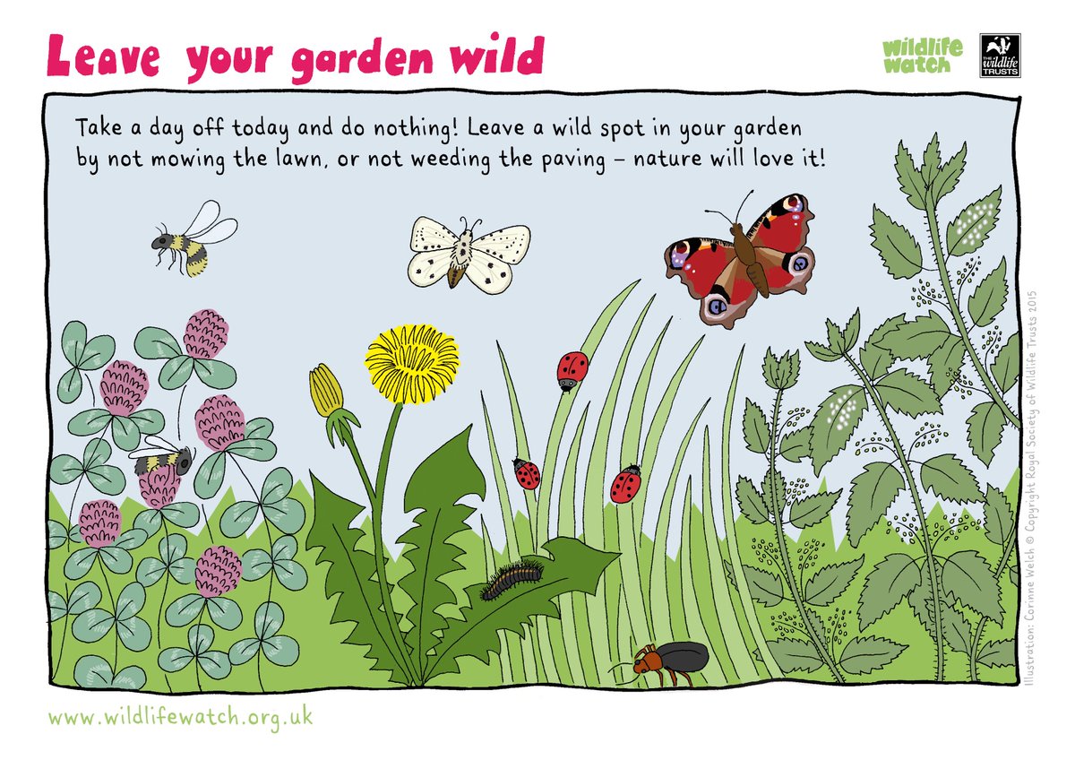 Planning your gardening activities this year? Leave a corner of your garden wild – saves mowing time and wildlife will love it #LoveWildlife