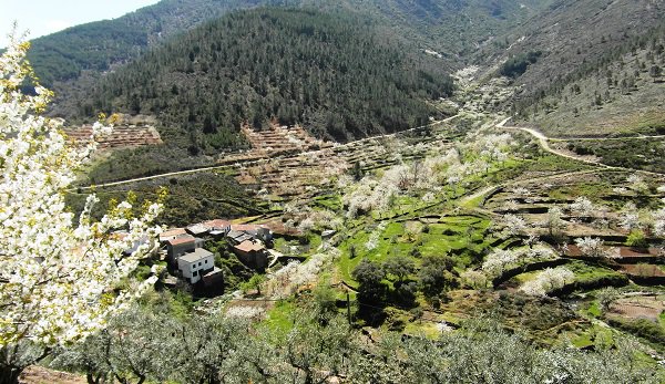 Martín Consultores tweet media