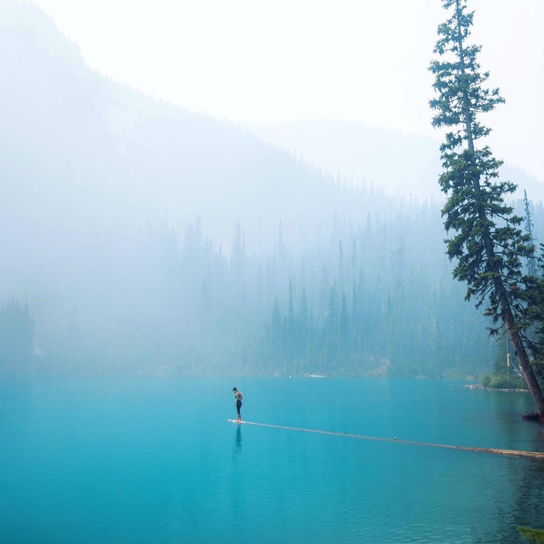escapade_app's tweet photo. A scene that seemed too surreal to be true. Smoky conditions on the blue water of BC. Visit the link in our bio to subscribe for info on even more breathtaking destinations!!
📸 @EverChangingHorizon #travelwriter #escapadeapp #BritishColumbia #travel #wineanddine #partytime https://t.co/TnFt3YHj26