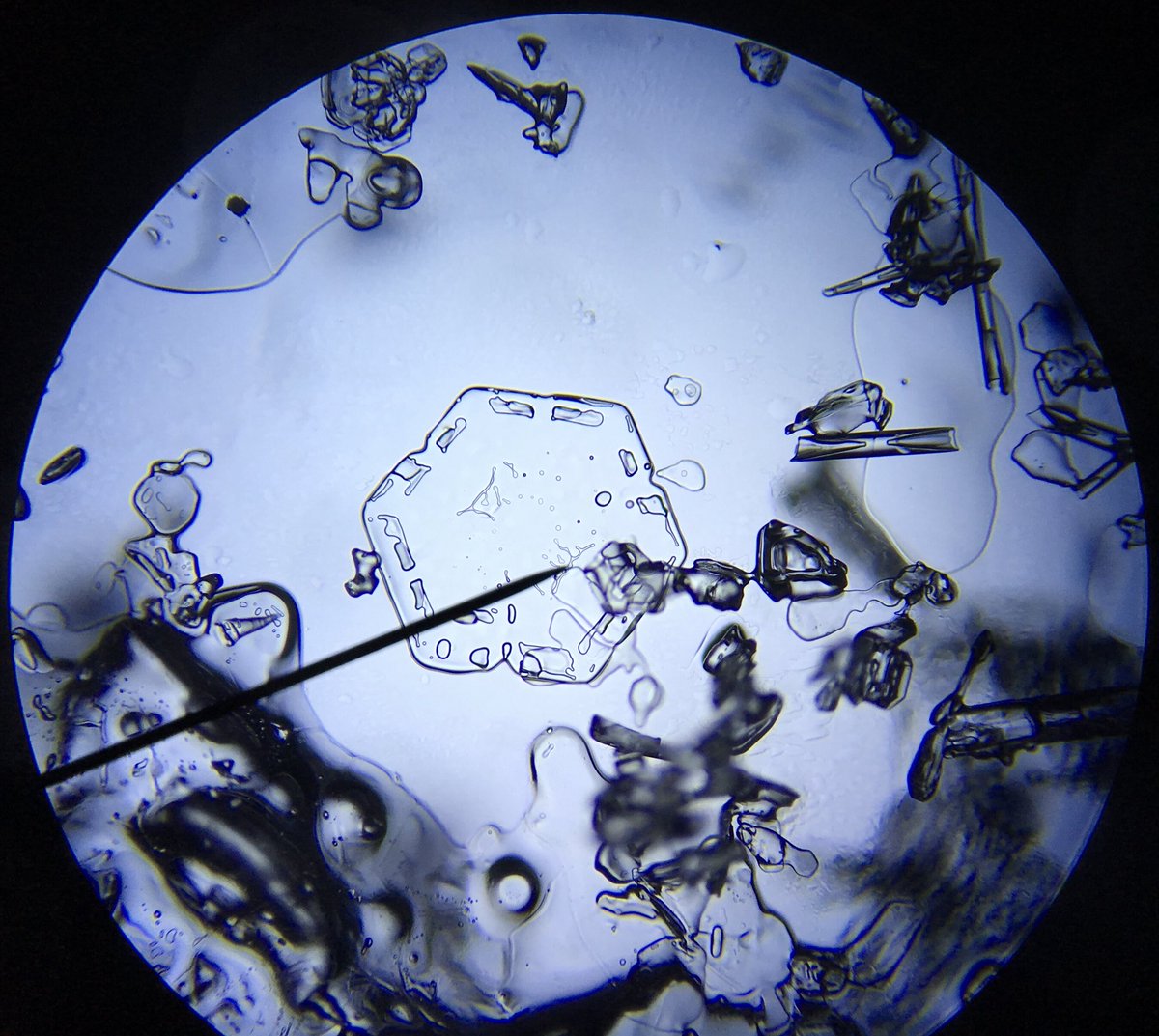 MPSscience's tweet photo. Taking a closer look at the snow in the last of today’s lessons! #snowflake #sixfoldradialsymmetry #dendrite #thinplate #sectorplate https://t.co/vhflejRelS