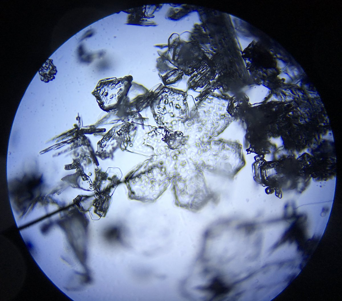 MPSscience's tweet photo. Taking a closer look at the snow in the last of today’s lessons! #snowflake #sixfoldradialsymmetry #dendrite #thinplate #sectorplate https://t.co/vhflejRelS