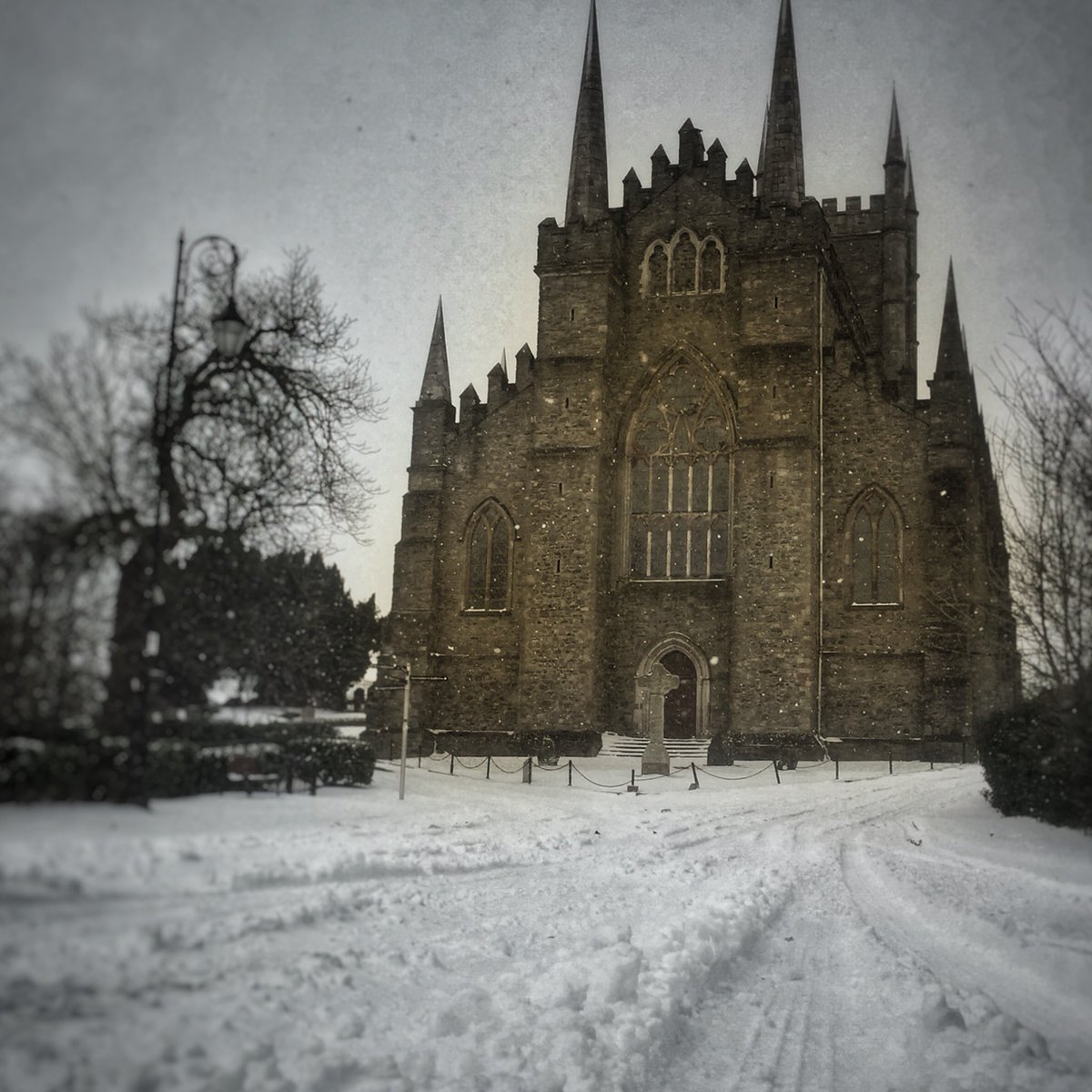 Happy St David’s Day from the Home of St Patrick