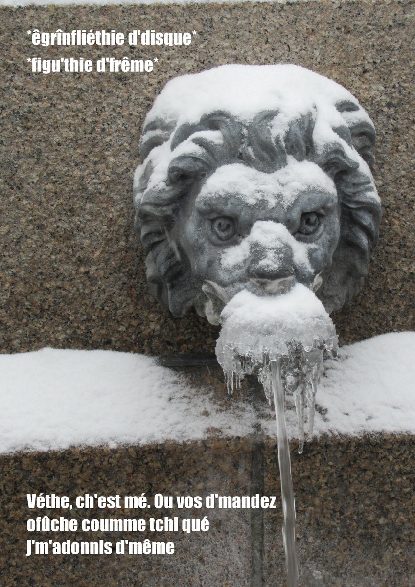 le_jerriais's tweet photo. *Record scratch*
*Freeze frame*
Yup, that's me. You're probably wondering how I ended up in this situation.
#jerriais #CIsnow https://t.co/q7tXgbYera